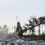 Moving the cut wood