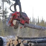 Picking the wood for processing