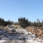 Making the trail for the equipment