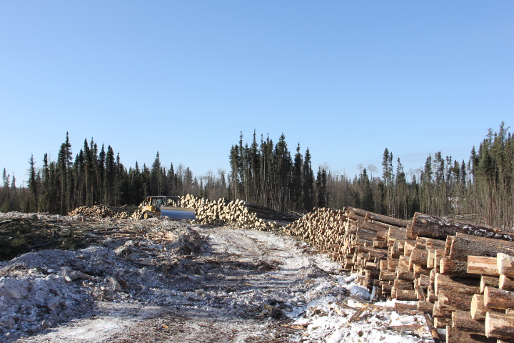 Making the trail for the equipment