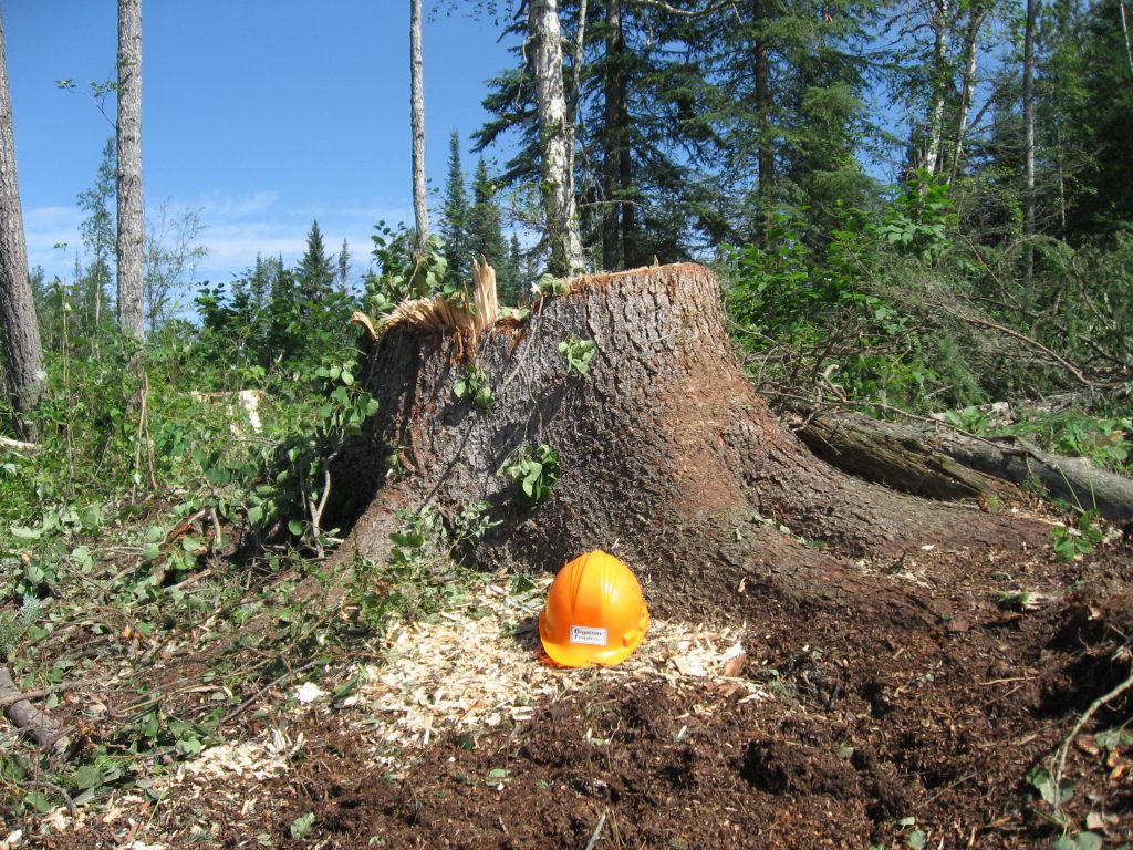 Hard hat