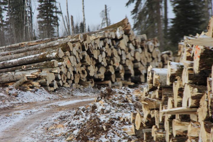 After Wood Processing