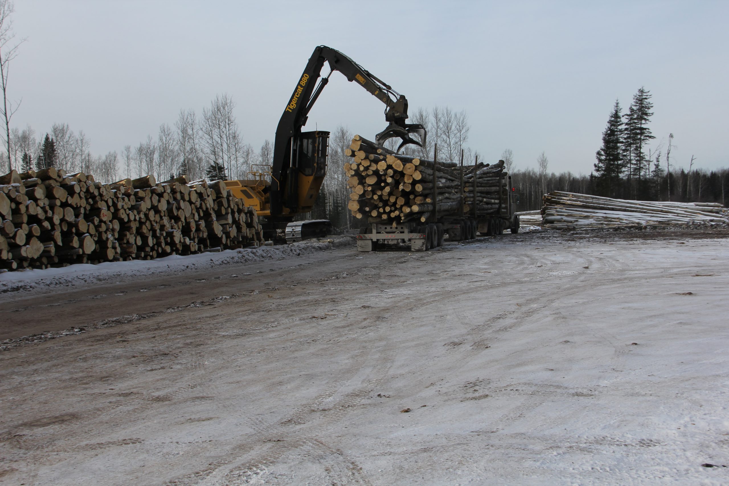 Loading the cut