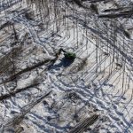 Bunching wood in the winter of 2018